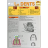 LES DENTS