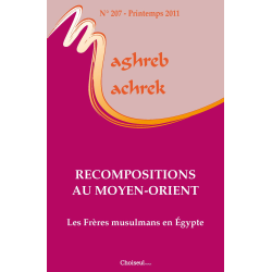 Determinants of Arab policy of France: a comparative approach