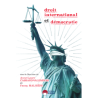 Droit International et Démocratie, par Anne-Lasure Cassard-Valembois et Fanny Malhière