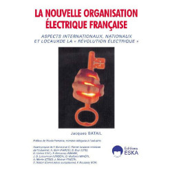 La nouvelle organisation électrique française