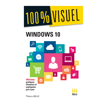 100 % Visuel Windows 10
