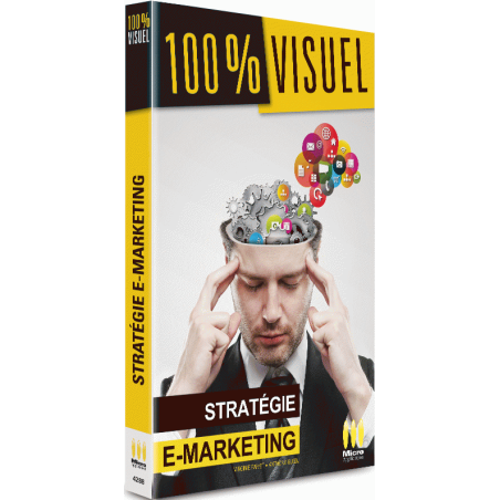 Stratégie e-marketing (version numérique)